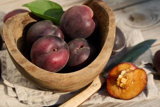 Meruňky budoucnosti? Pestřejší barvy a odolnější plody. Vysázejte je právě nyní! - Proženy.cz